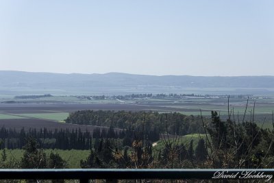 tal_DSC_2001s.jpg