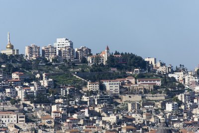 tal_DSC_2004s.jpg