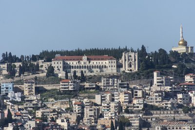 tal_DSC_2005s.jpg