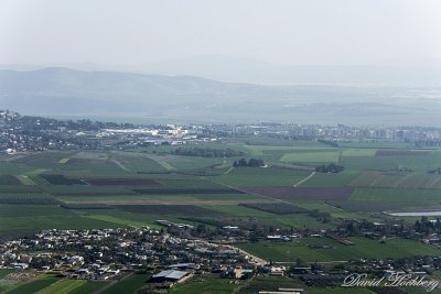 tal_DSC_2009s.jpg