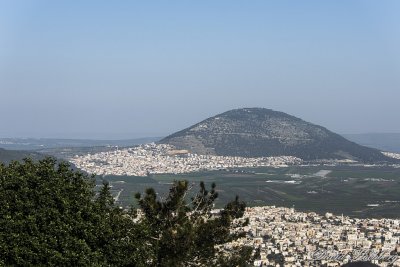 tal_DSC_2010s.jpg