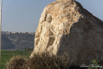tal_DSC_2085s.jpg