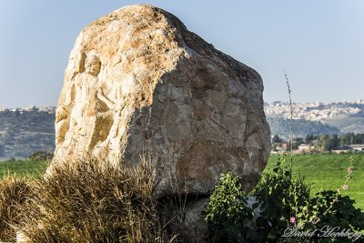 tal_DSC_2086s.jpg