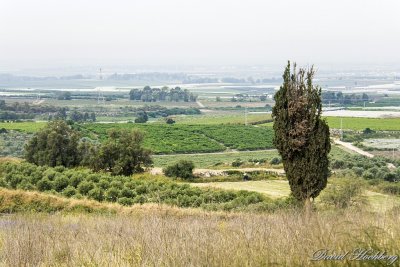tal_DSC_2708s.jpg