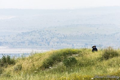 tal_DSC_2735s.jpg