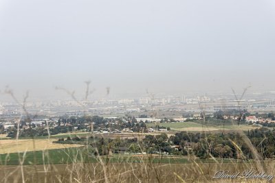 tal_DSC_2763s.jpg