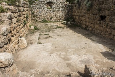 tal_DSC_2792s.jpg