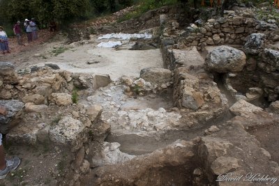 tal_DSC_2793s.jpg
