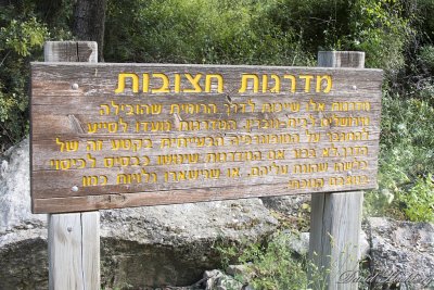 tal_DSC_2834s.jpg