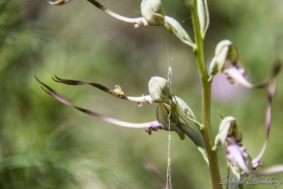 tal_DSC_3348s.jpg