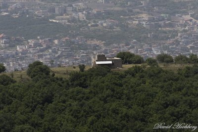 tal_DSC_3368s.jpg
