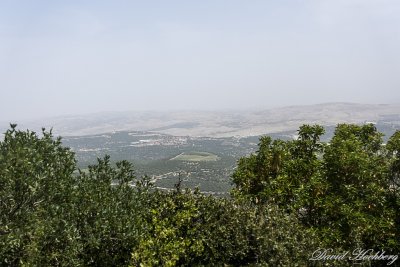 tal_DSC_3381s.jpg