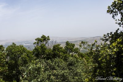 tal_DSC_3382s.jpg
