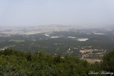 tal_DSC_3388s.jpg