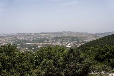 tal_DSC_3390s.jpg