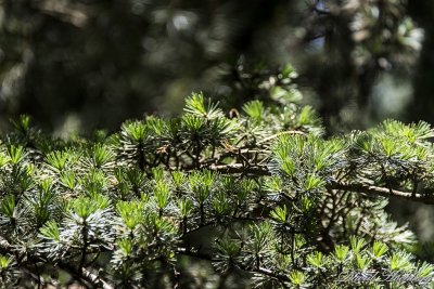 tal_DSC_3398s.jpg
