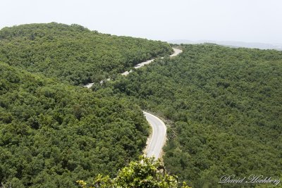 tal_DSC_3406s.jpg