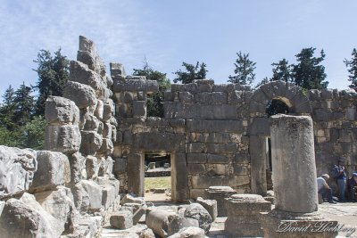 tal_DSC_3431s.jpg