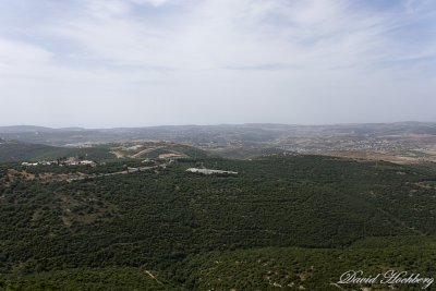 tal_DSC_3435s.jpg
