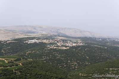 tal_DSC_3436s.jpg