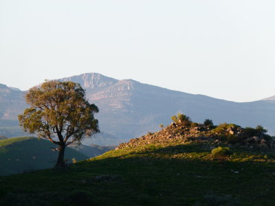 Flinders Ranges