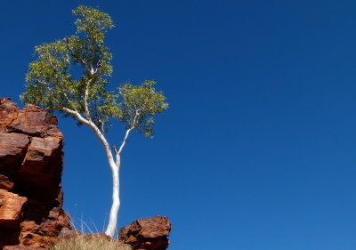 Red Centre landscape