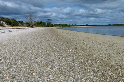 Island Beach