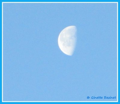 Vous tes une petite curieuse ce matin.Le soleil est lev depuis un moment et vous restez encore avec nous dans ce beau ciel.