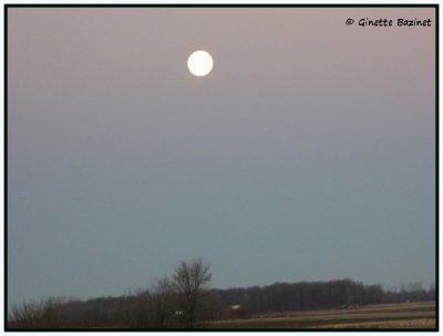 Vous avez fait la manchette cette nuit chez tous les astronomes avec cette pleine lune galement appele      Lune Froide  