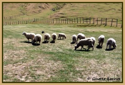 Australie/Nouvelle-Zlande