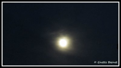g9/00/1079800/3/163501087.KkG4O16l.jpg