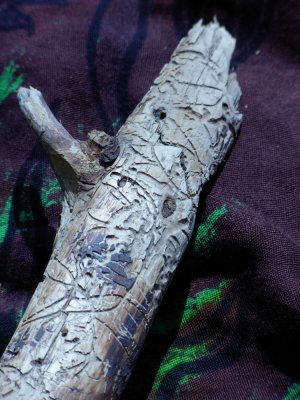 DSCN1631.JPG