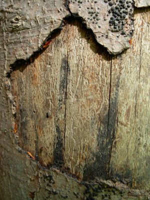 DSCN4495.JPG