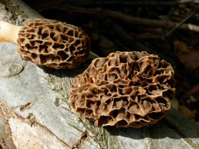 DSCN4560.JPG