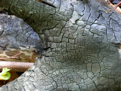 DSCN4622.JPG