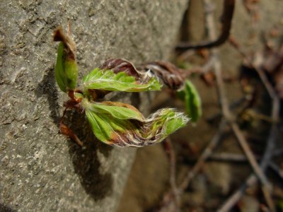 DSCN4701.JPG