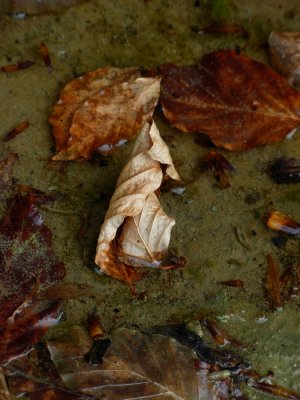 DSCN4791.JPG