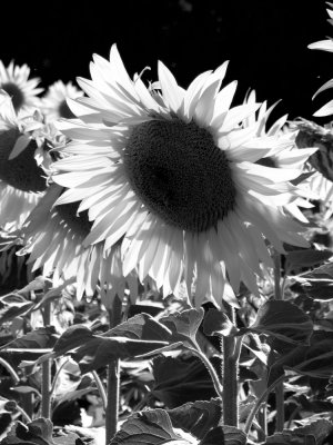 DSCN9069.JPG