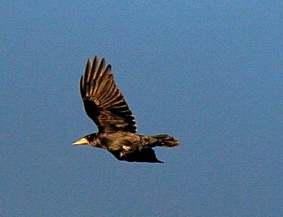 IMG_7784.JPG