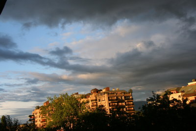 IMG_7848.JPG