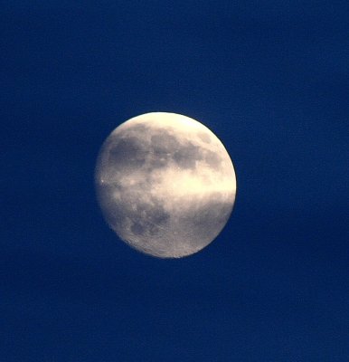 _MG_2006.JPG