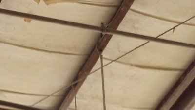 MA-0019_IMG.jpg