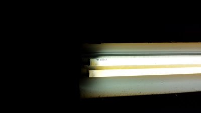 UP-0009_IMG.jpg