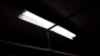 UP-0010_IMG.jpg