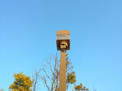 IMG_0029.jpg