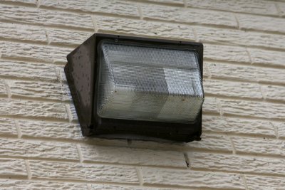 QW4Y9316.jpg