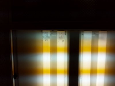 Inside - Office