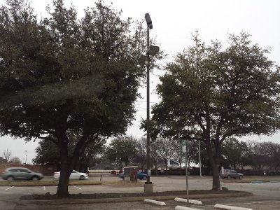 C-0007_IMG.jpg