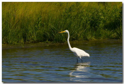 DSC_5295_F.jpg