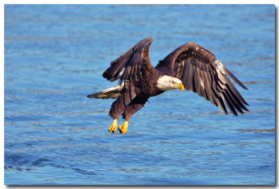 DSC_8343_F.jpg